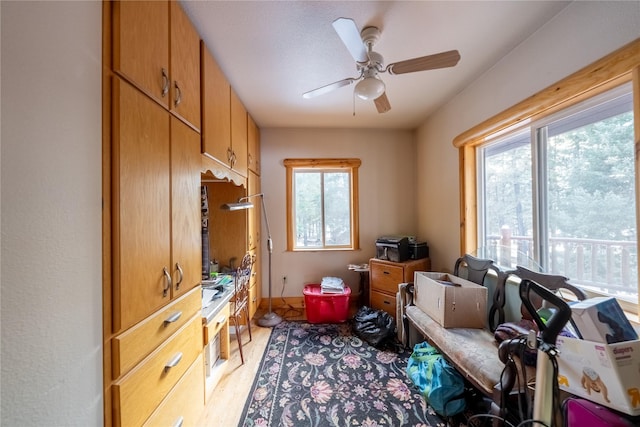 interior space featuring ceiling fan and light wood-type flooring