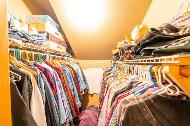 view of spacious closet