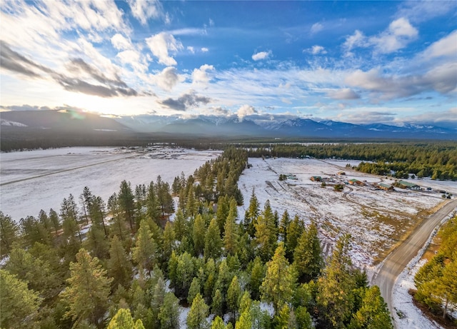 bird's eye view featuring a mountain view