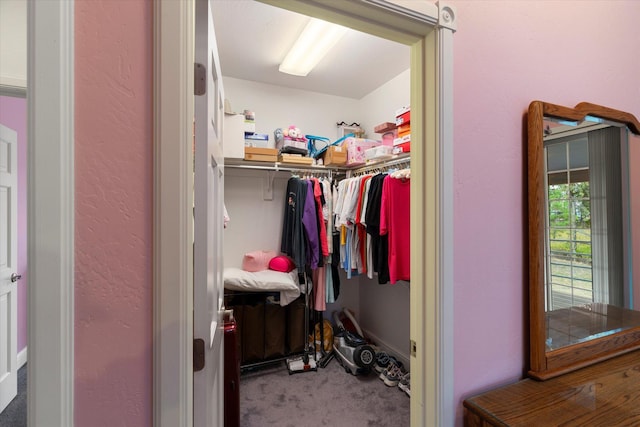 spacious closet featuring carpet floors