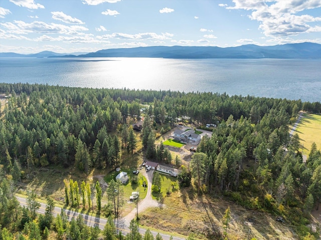 bird's eye view with a water and mountain view