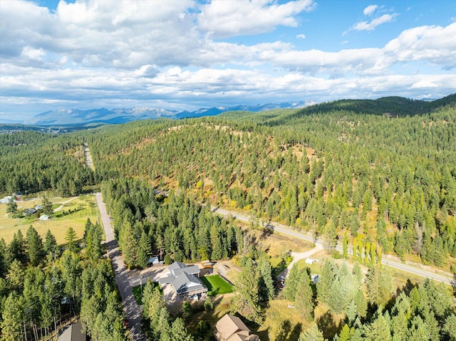 birds eye view of property with a mountain view