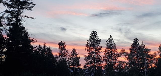 view of nature at dusk