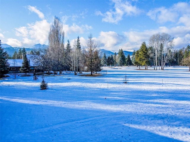 view of home's community with a mountain view