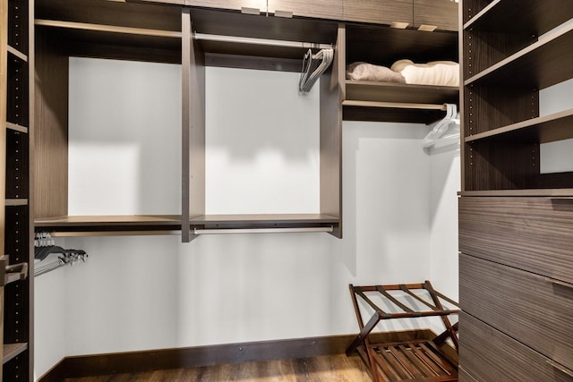 spacious closet featuring wood finished floors