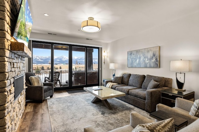 living room with a mountain view, wood-type flooring, and a fireplace