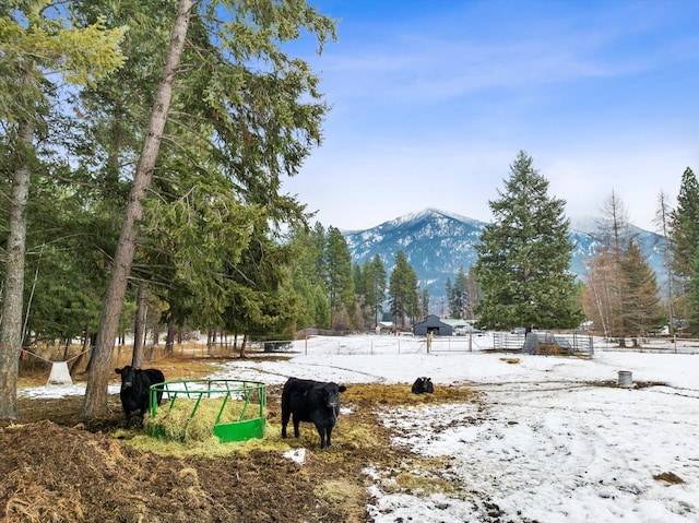 property view of mountains with a rural view