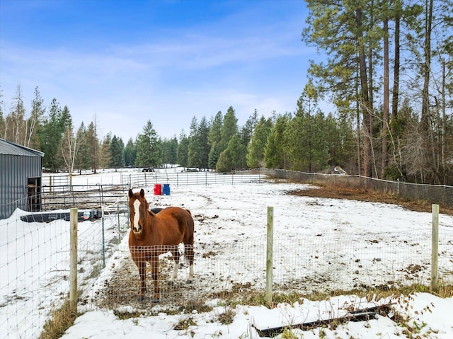 yard covered in snow featuring a rural view