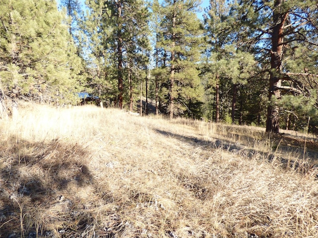 Listing photo 3 for NHN Black Fox Trail, Missoula MT 59802