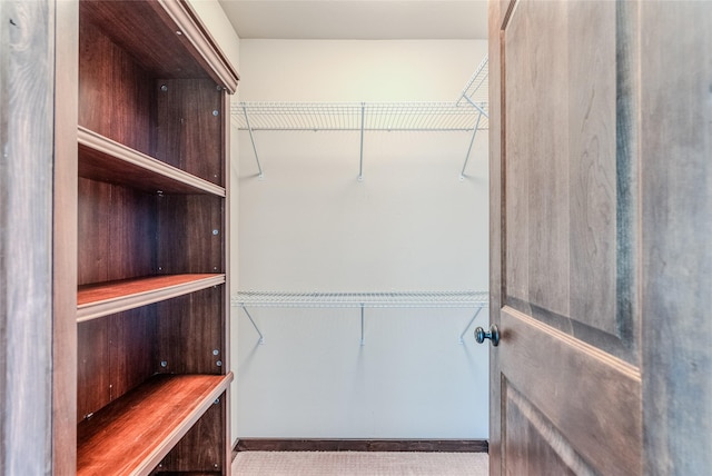 view of spacious closet