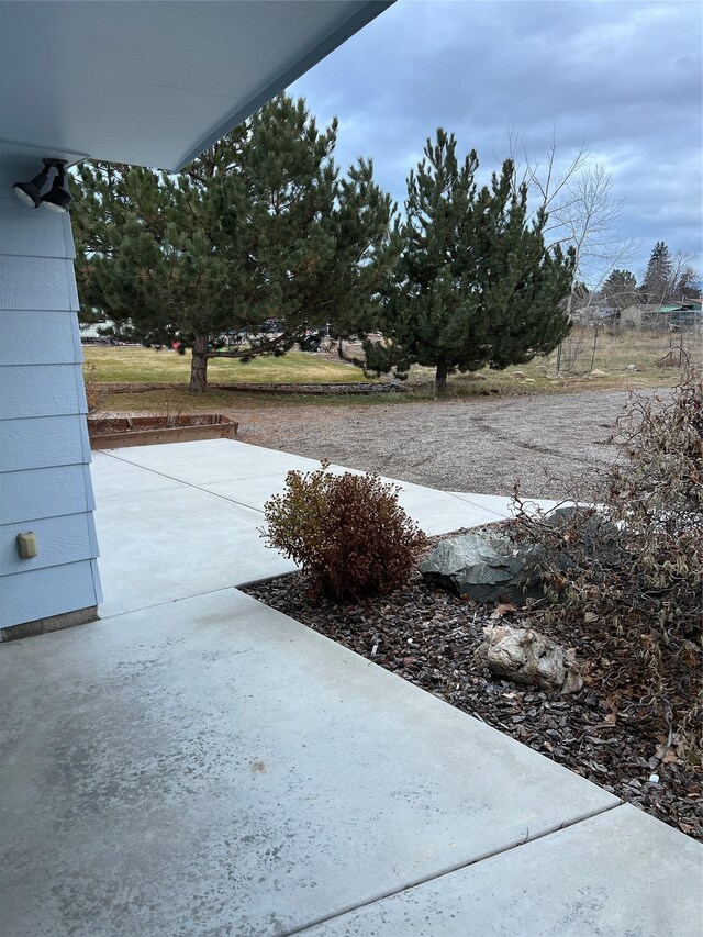 view of yard featuring a patio area