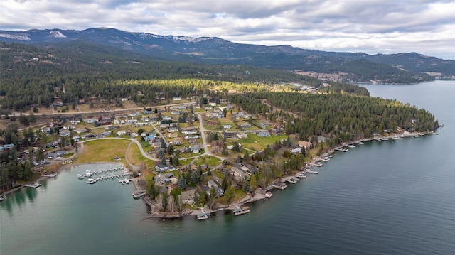 birds eye view of property featuring a water and mountain view