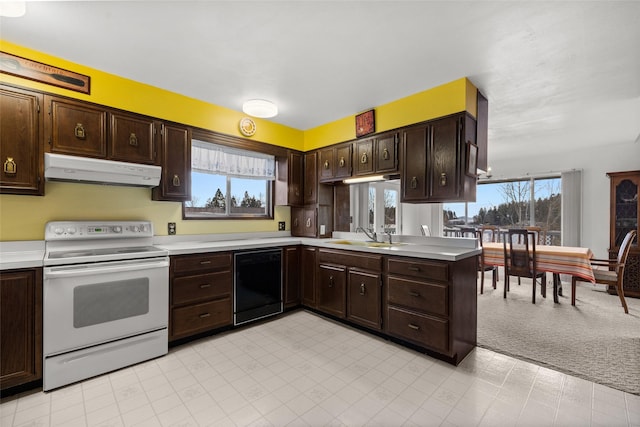 kitchen featuring white electric range oven, dark brown cabinets, black dishwasher, and sink