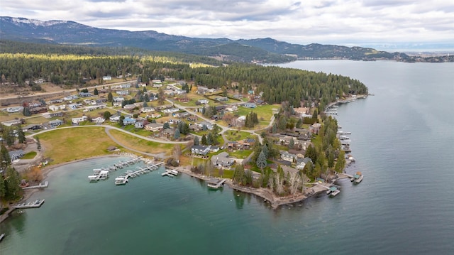 birds eye view of property featuring a water and mountain view