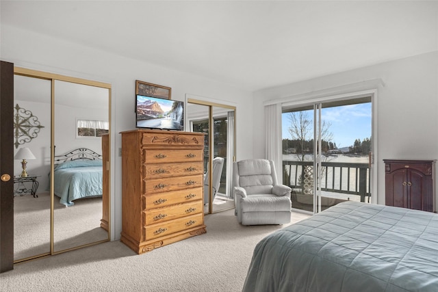 bedroom with access to exterior and carpet floors