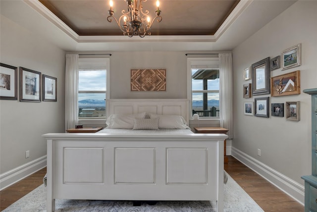 bedroom featuring a raised ceiling, multiple windows, and dark hardwood / wood-style floors