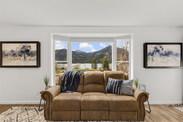 interior space featuring a mountain view and light hardwood / wood-style flooring