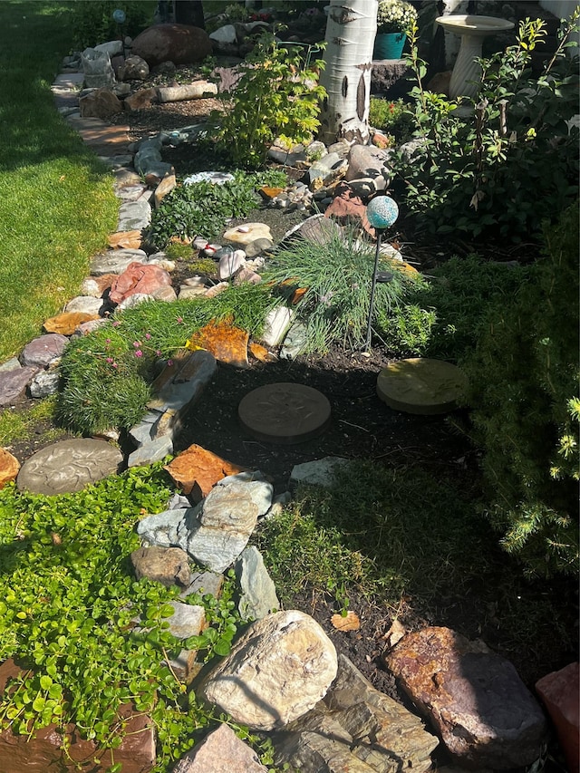 view of yard with a small pond