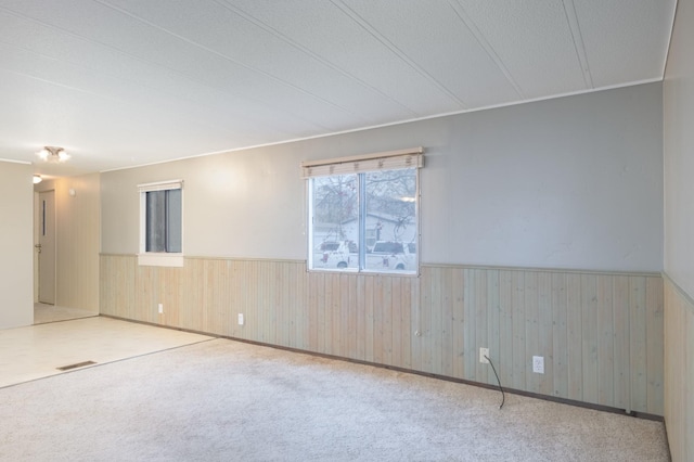 carpeted empty room featuring wood walls and a textured ceiling