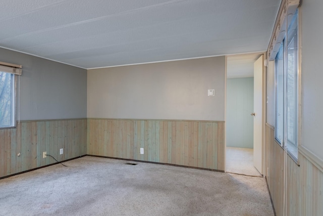 carpeted spare room with wood walls