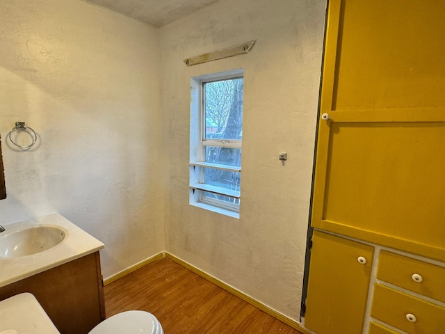 bathroom featuring hardwood / wood-style floors and vanity