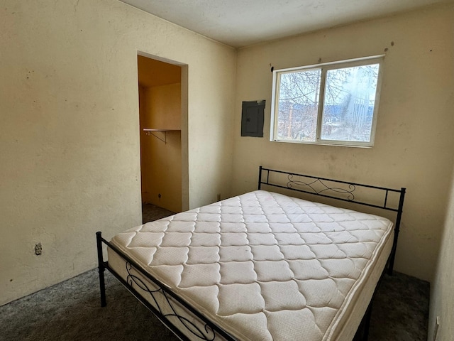 carpeted bedroom featuring a walk in closet, electric panel, and a closet