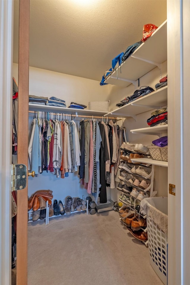 spacious closet featuring carpet floors