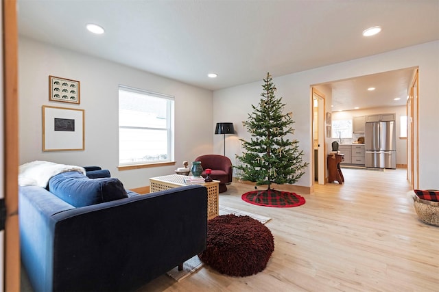 living room featuring light hardwood / wood-style flooring