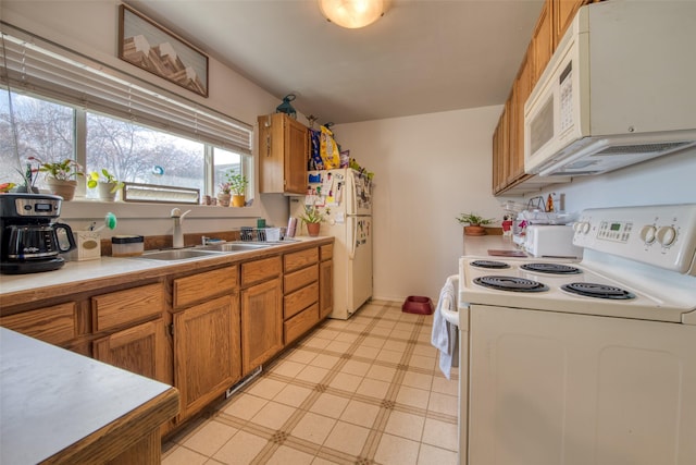 kitchen with white appliances and sink