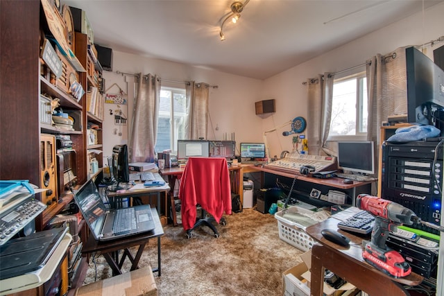 home office with carpet flooring and a wealth of natural light