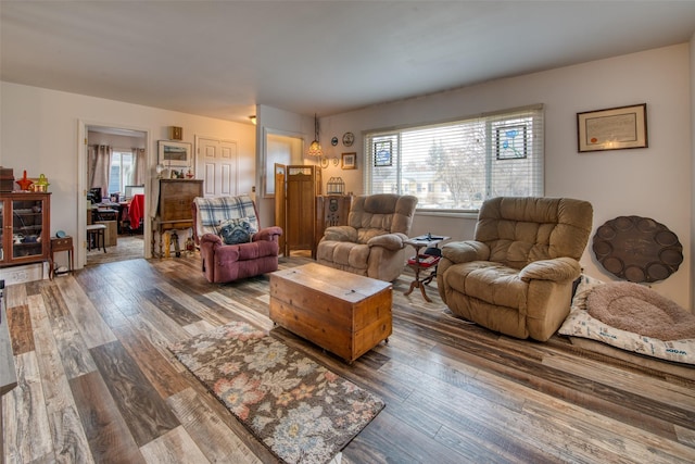 living room with hardwood / wood-style floors