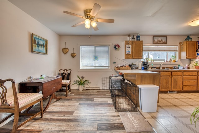 kitchen featuring ceiling fan, light hardwood / wood-style floors, sink, and a wealth of natural light