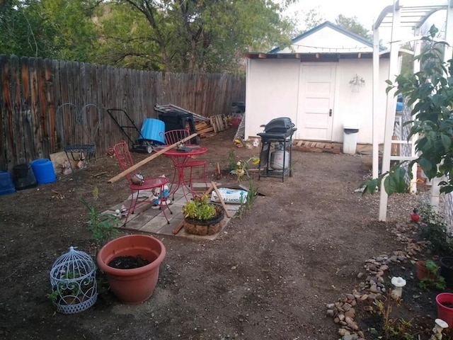 view of yard with a patio and a storage shed