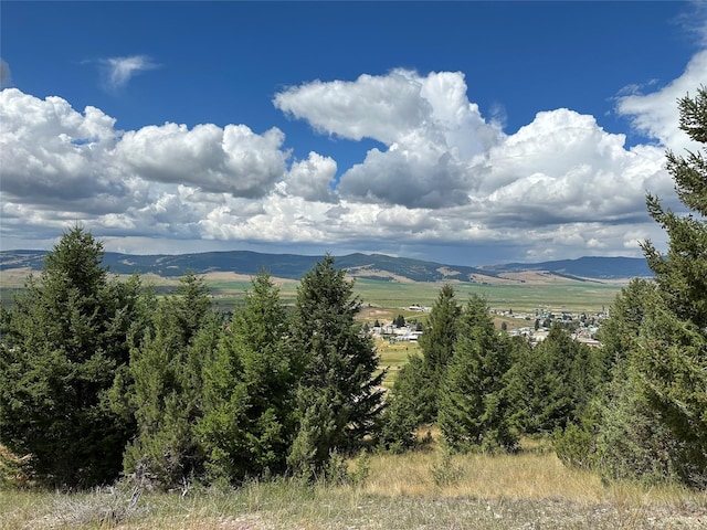 15 Power Plant Rd, Philipsburg, MT 59858
