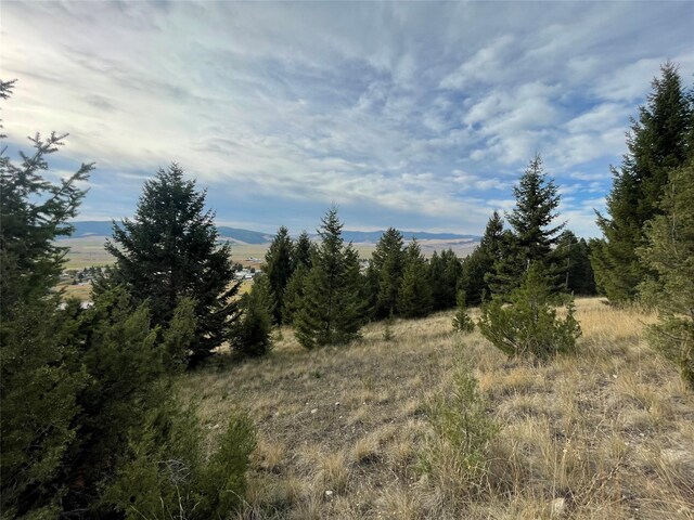 15 Power Plant Rd, Philipsburg, MT 59858