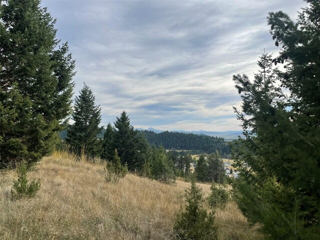 15 Power Plant Rd, Philipsburg, MT 59858