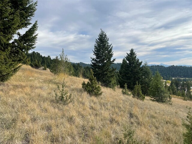 15 Power Plant Rd, Philipsburg, MT 59858