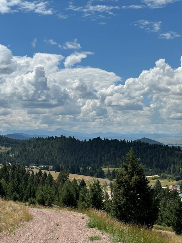 15 Power Plant Rd, Philipsburg, MT 59858