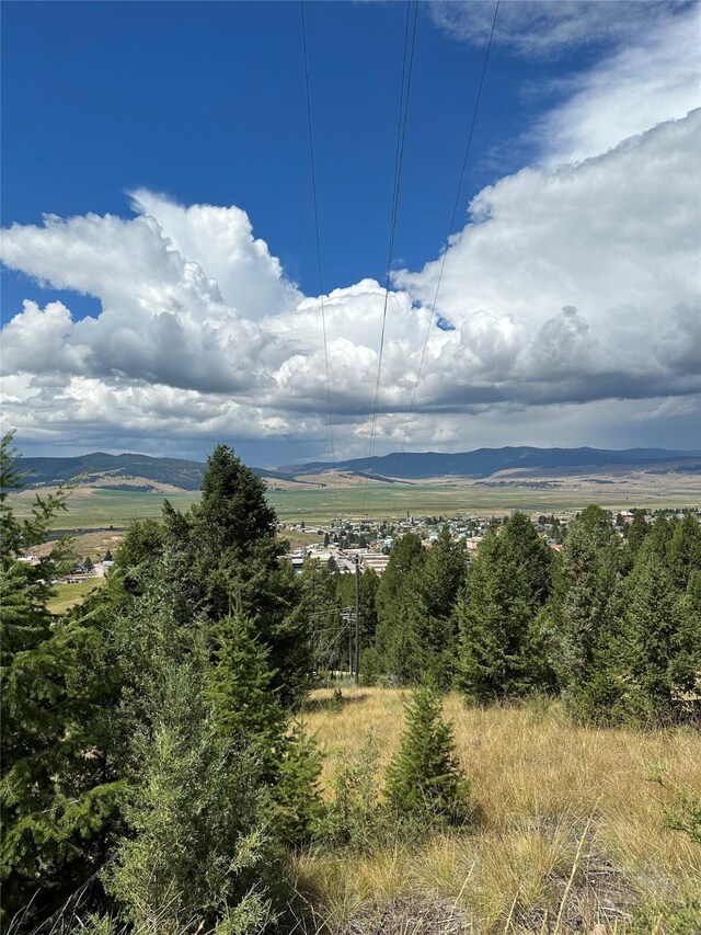 15 Power Plant Rd, Philipsburg, MT 59858