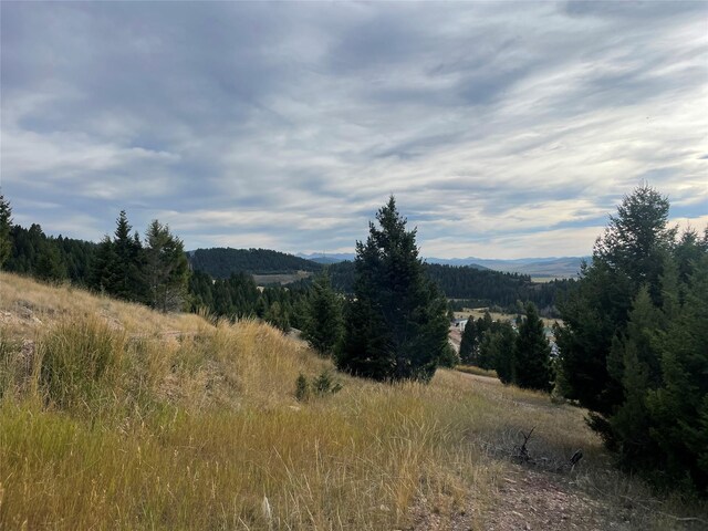 15 Power Plant Rd, Philipsburg, MT 59858