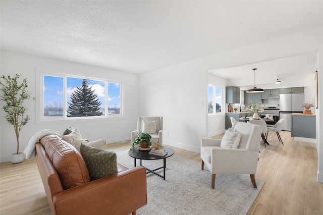 living room featuring light hardwood / wood-style floors and a textured ceiling