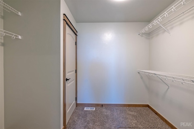 spacious closet featuring carpet floors