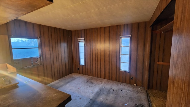 spare room with a wealth of natural light and wood walls