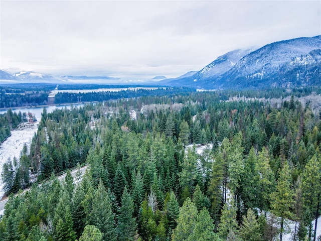 view of mountain feature featuring a water view