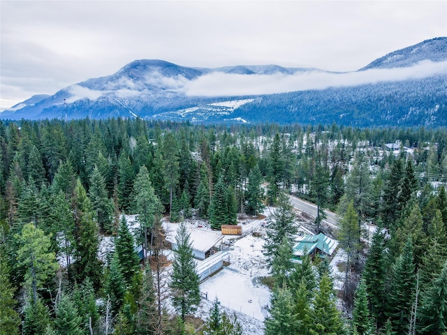 birds eye view of property with a mountain view