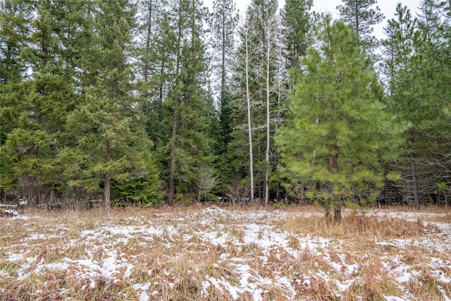 view of local wilderness