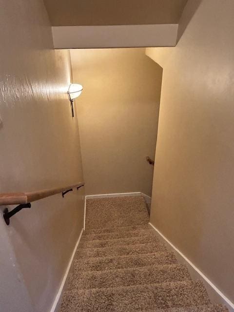 staircase with carpet floors