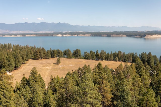 birds eye view of property with a water and mountain view