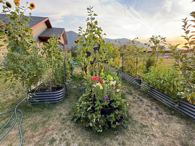 yard at dusk featuring a mountain view