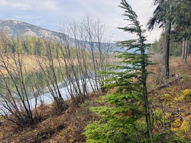 water view with a mountain view